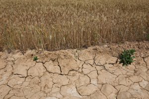 Central Banks Unprepared For Climate-Driven Labour Shocks: LSE