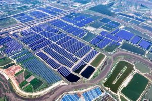 Renewables Top Coal Power for First Time in First Half of 2025