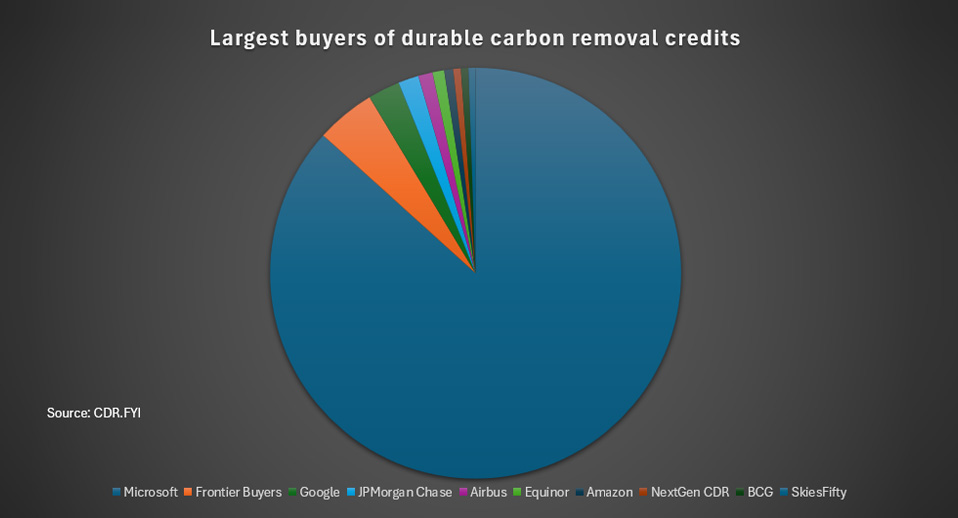 Largest buyers of durable carbon removal credits
