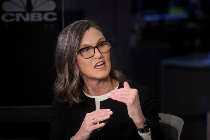 Cathie Wood, CEO of Ark Invest, speaks during an interview on CNBC