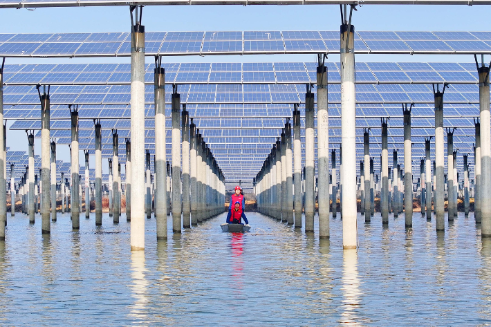 Potential Peak in China Carbon Emissions Sparks Hope and Worry